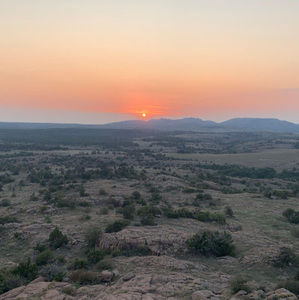 Meet your Posher, Isabel